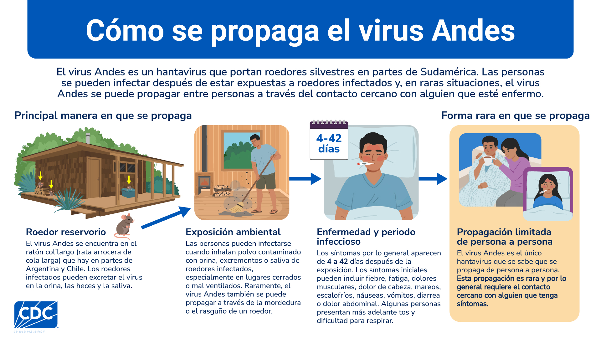 Cómo se propaga el virus Andes de roedores infectados a las personas