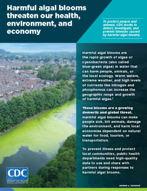 Harmful Algal Blooms Threaten our Health, Environment, and Economy ...