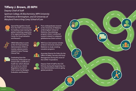 career roadmaps graphic