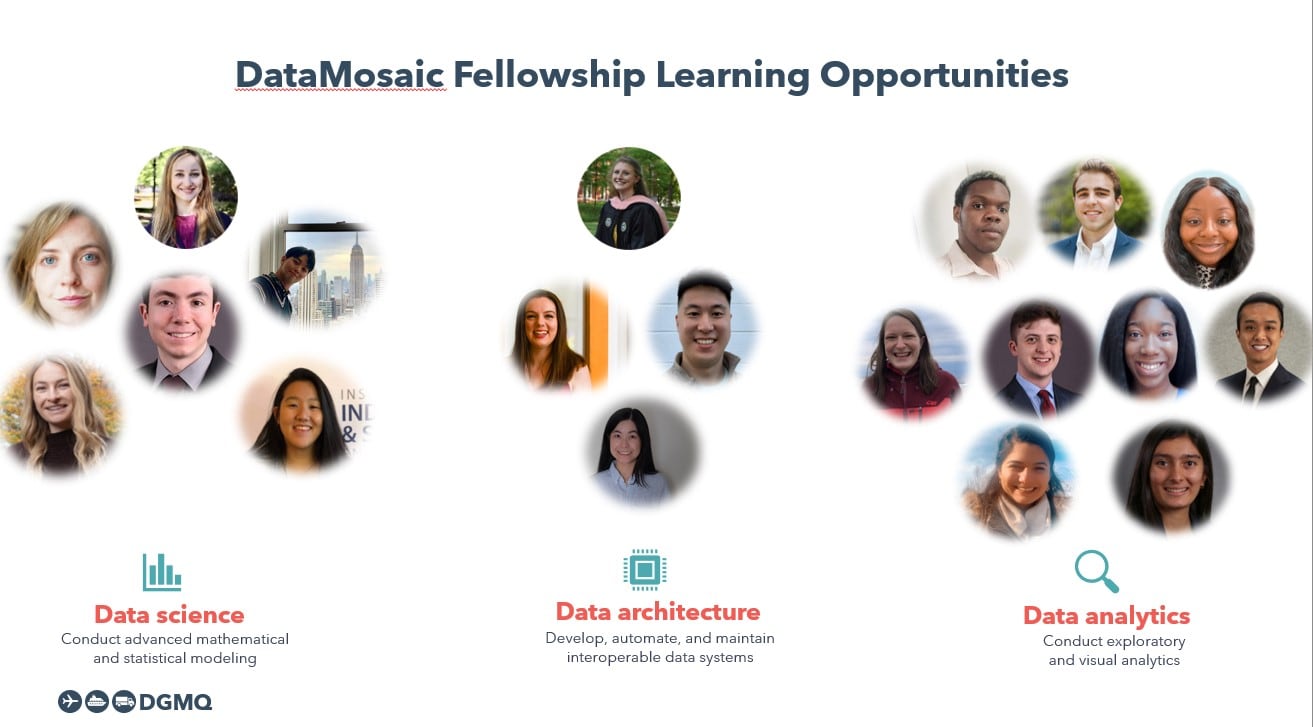 Infographic of the DataMosaic fellows.