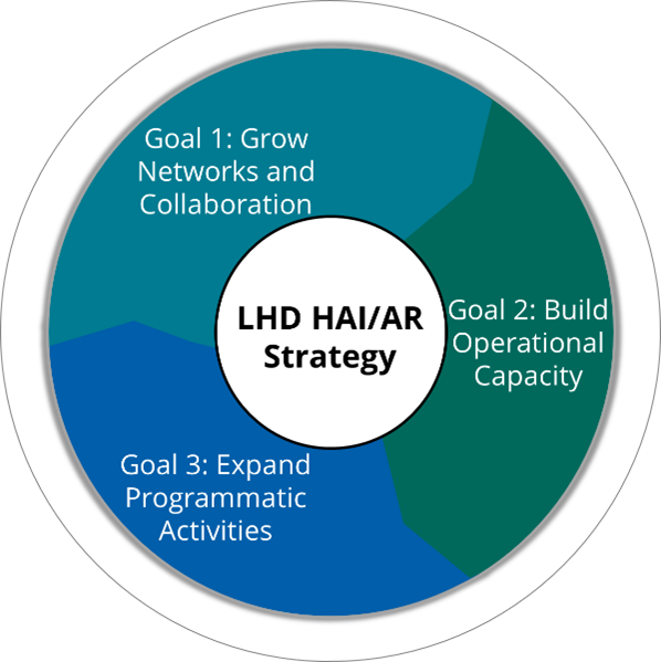 CDC's vision for local HAI/AR capacity, which relies on collaboration between local, state, and federal public health partners.