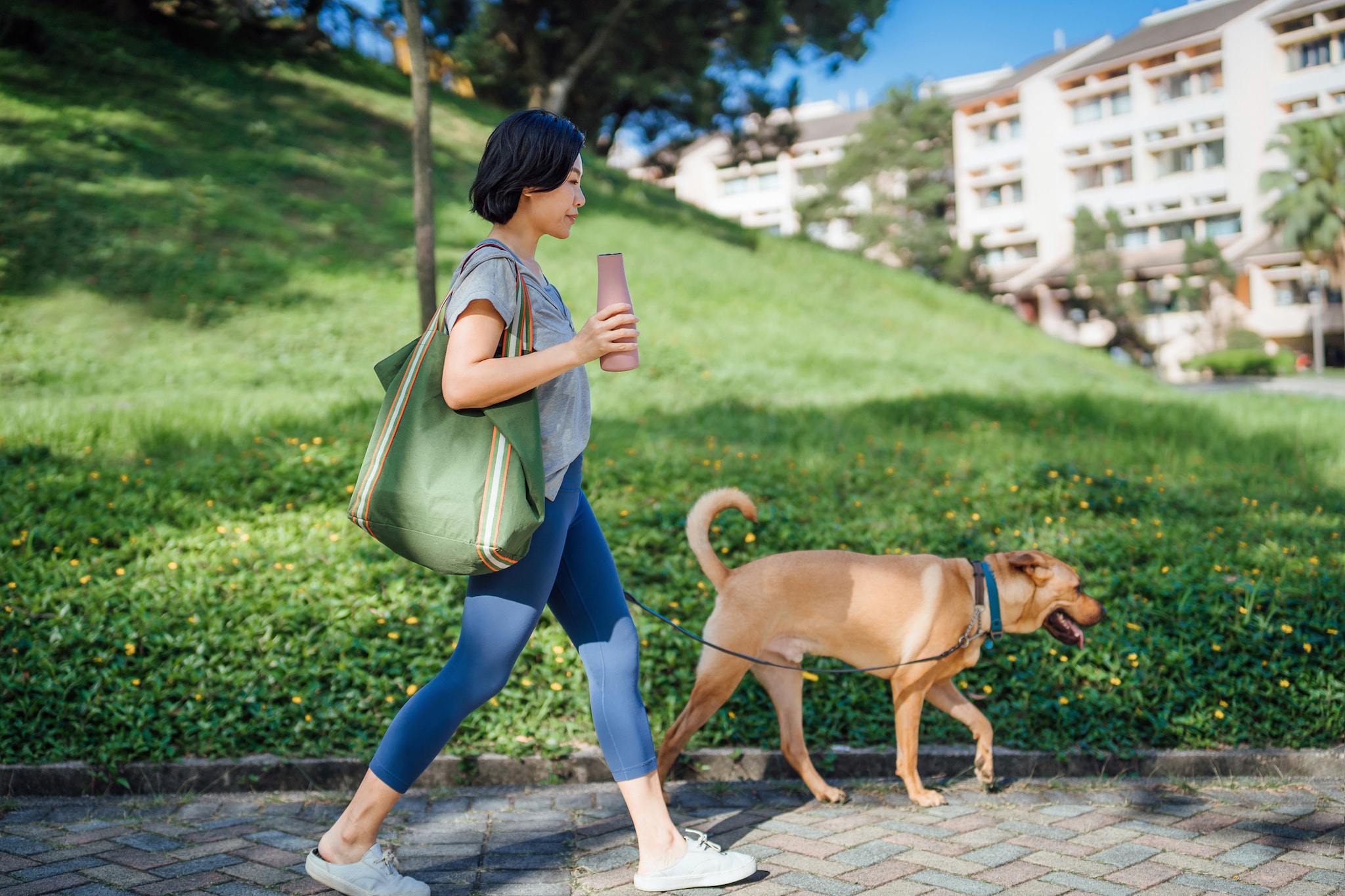 A woman walking a dog on a leash