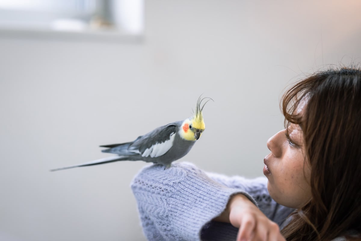 A woman and her pet bird perched on her arm.