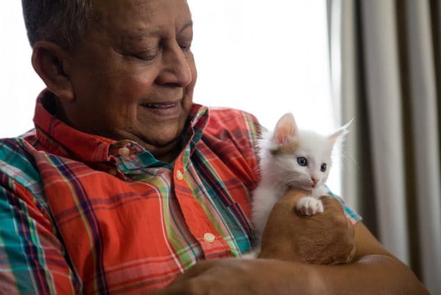 An older man holding a white kitten.
