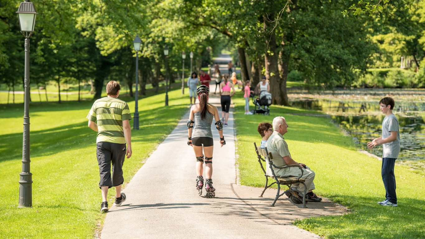 A park setting with a variety of people being active