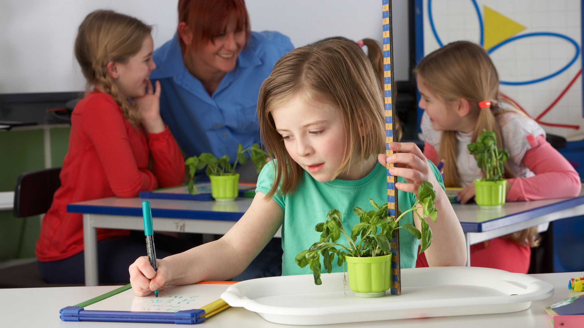 Young student measures a potted plant on her desk, writing on a pad. Students and a teacher are in the background.