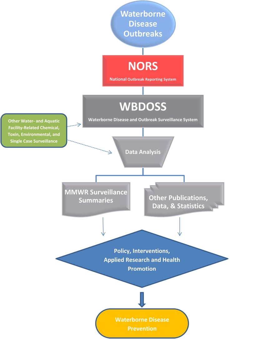 Flowchart of data sources and outputs for WBDOSS