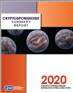 Thumbnail of 2020 Crypto summary report cover.