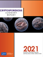 Thumbnail of 2022 Crypto summary report cover