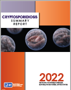 Thumbnail of 2020 Crypto summary report cover