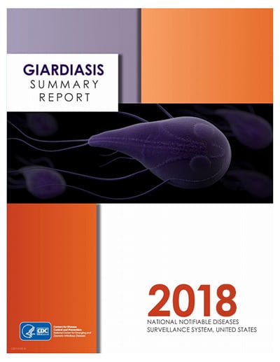Summary report cover for 2018 in orange and purple block with CDC logo