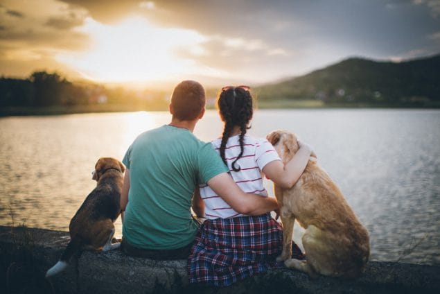 زوجان يجلسان أمام البحيرة مع كلبين