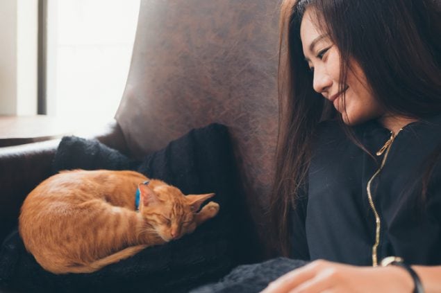 5 Cat Personalities and What They Reveal About Your Pet