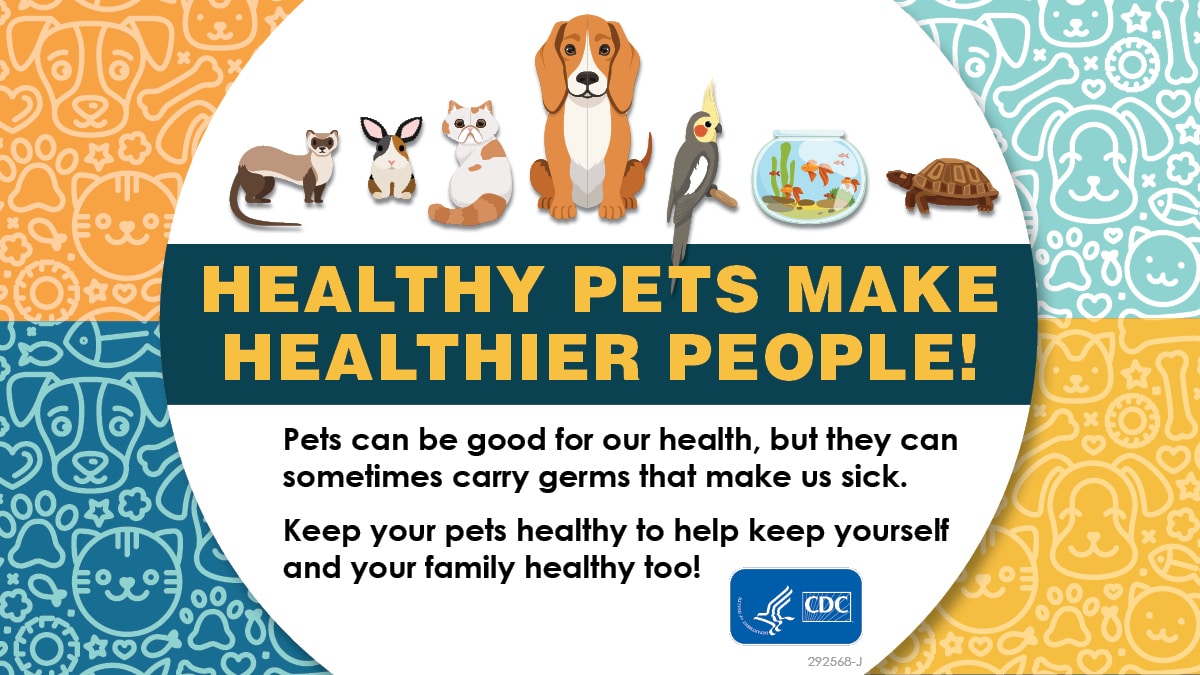 Dogs, Healthy Pets, Healthy People