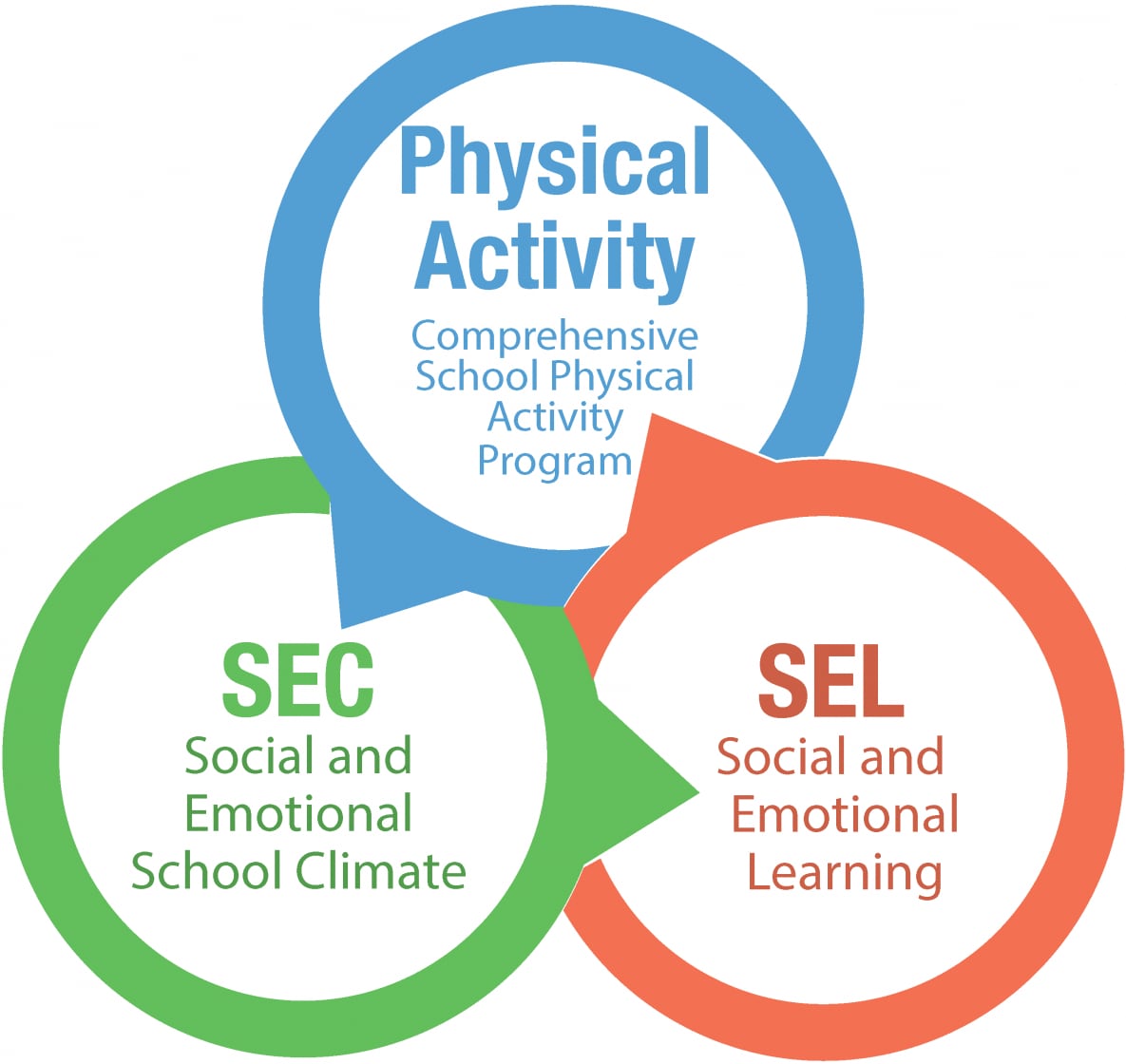 Activities before and during participation in the fitness program