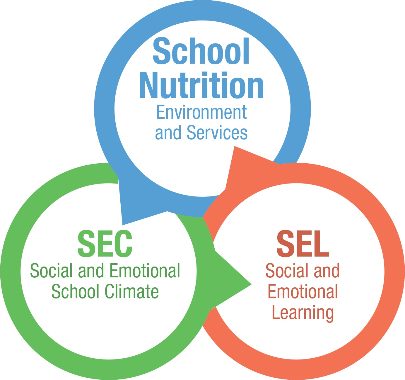 Setting Up an SEL Program in Secondary Physical Education Classes