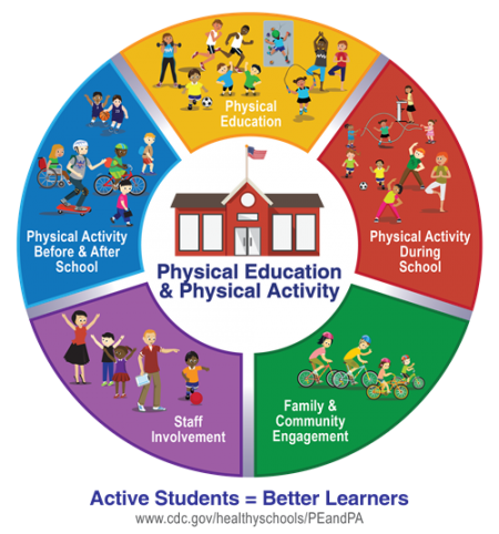 school physical activity program components comprehensive environment circle education active cdc icon pdf