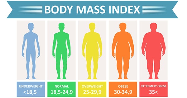 male body mass index calculator