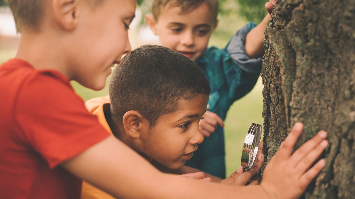 Three children in a park using a magnifying glass to study a tree trunk together