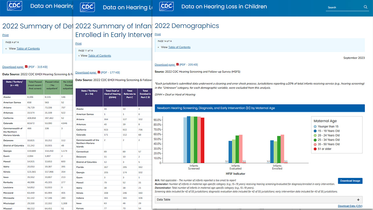 EHDI Annual Data sample pages