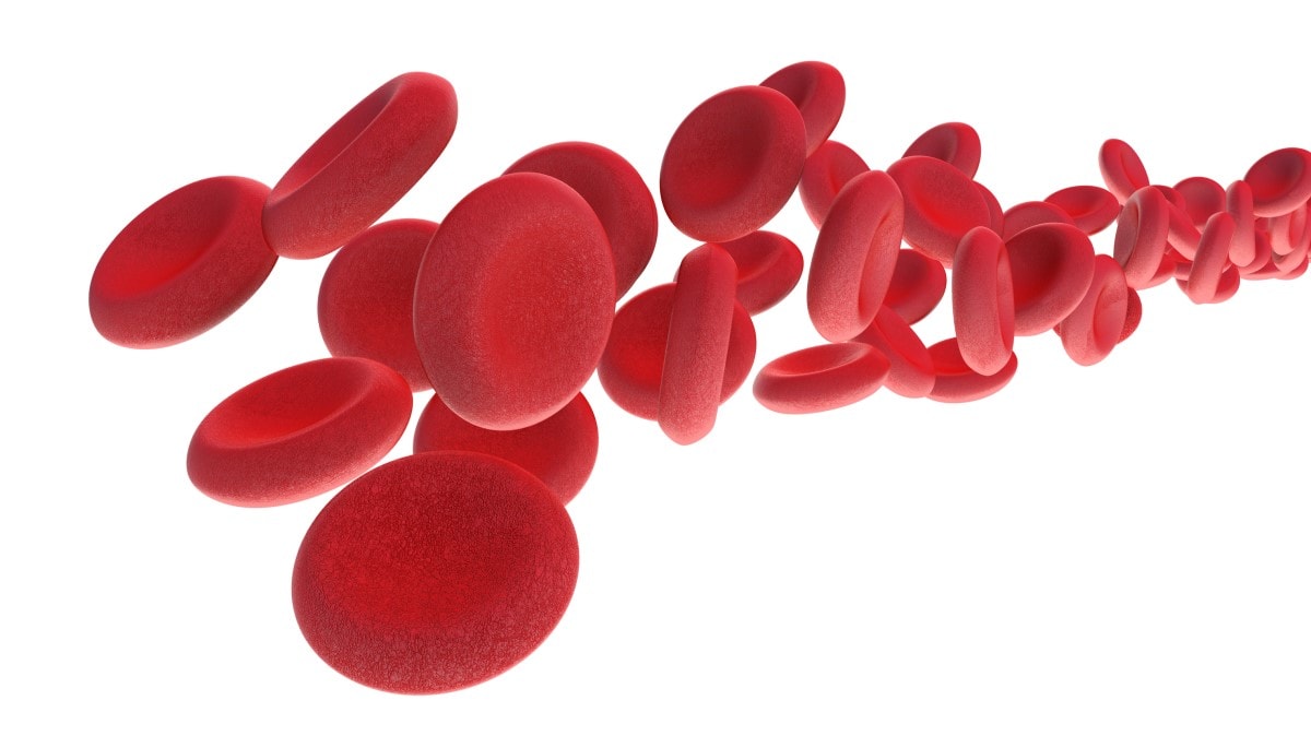 Circular red blood cells