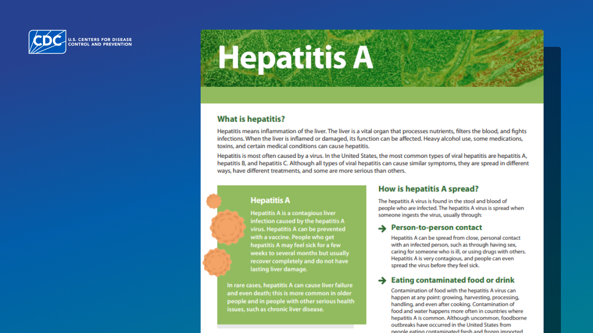 hepatitis a fact sheet