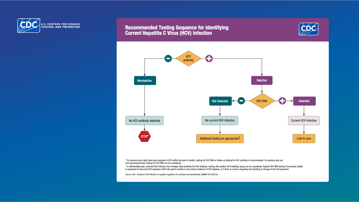 hcv_flow_new_thumbnail-horizontal