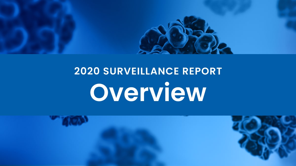 2020 Viral Hepatitis Surveillance Overview