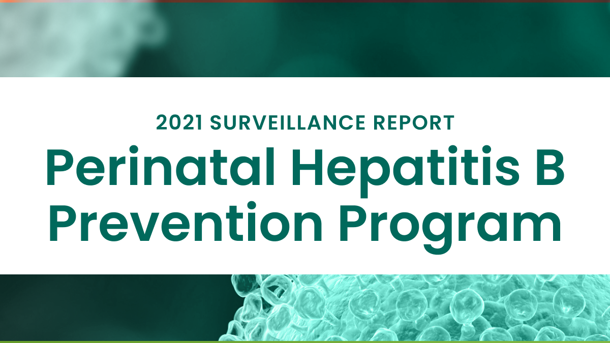 CDC 2021 Hepatitis B Surveillance Report perinatal hepatitis b prevention program