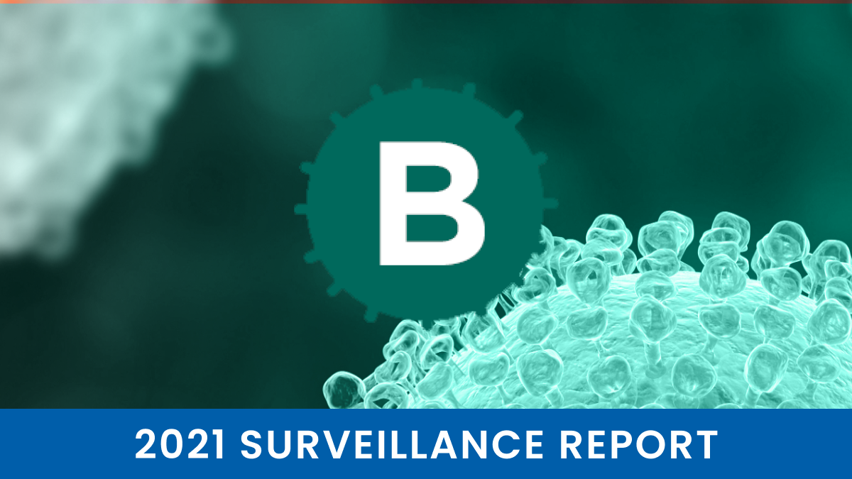 CDC 2021 Hepatitis B Surveillance Report