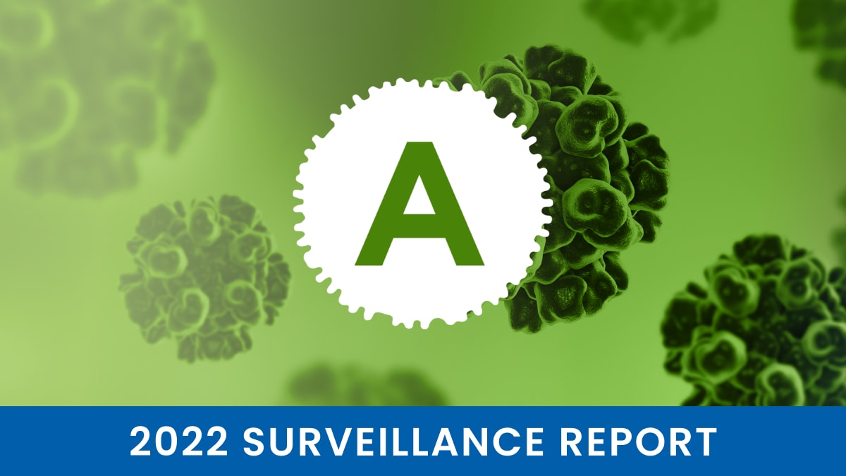 2022 Hepatitis A Surveillance Report