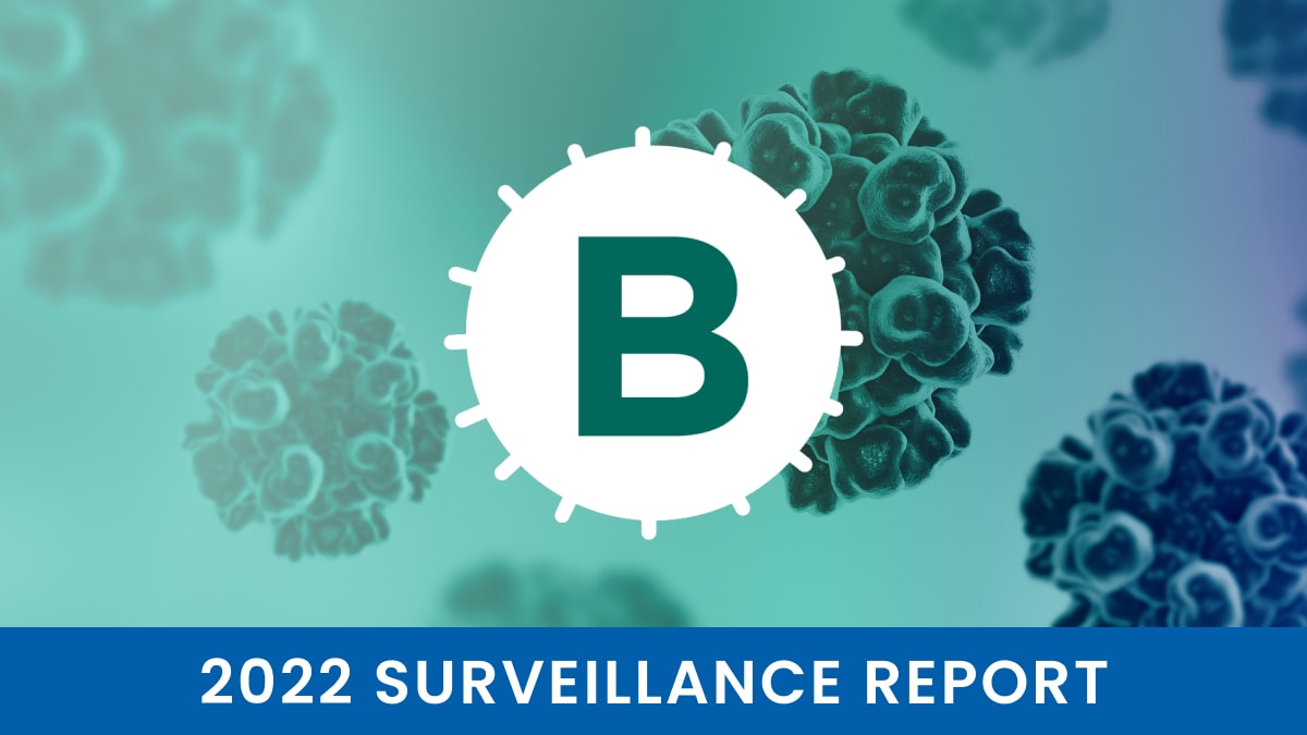 2022 Hepatitis B Surveillance