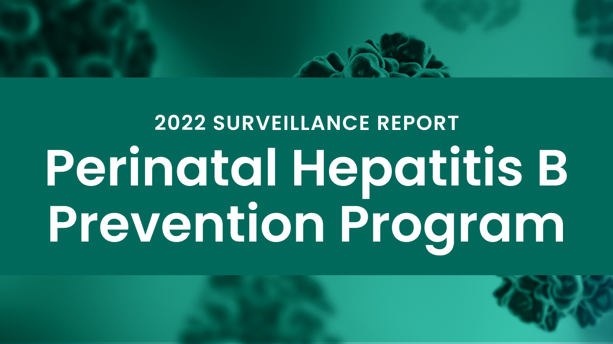CDC 2022 Hepatitis B Surveillance Report perinatal hepatitis b prevention program