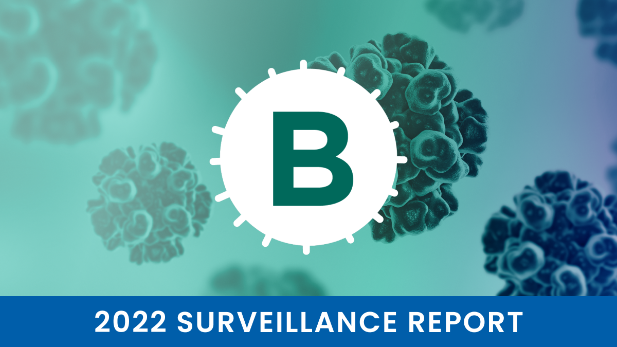 CDC 2022 Hepatitis B Surveillance Report