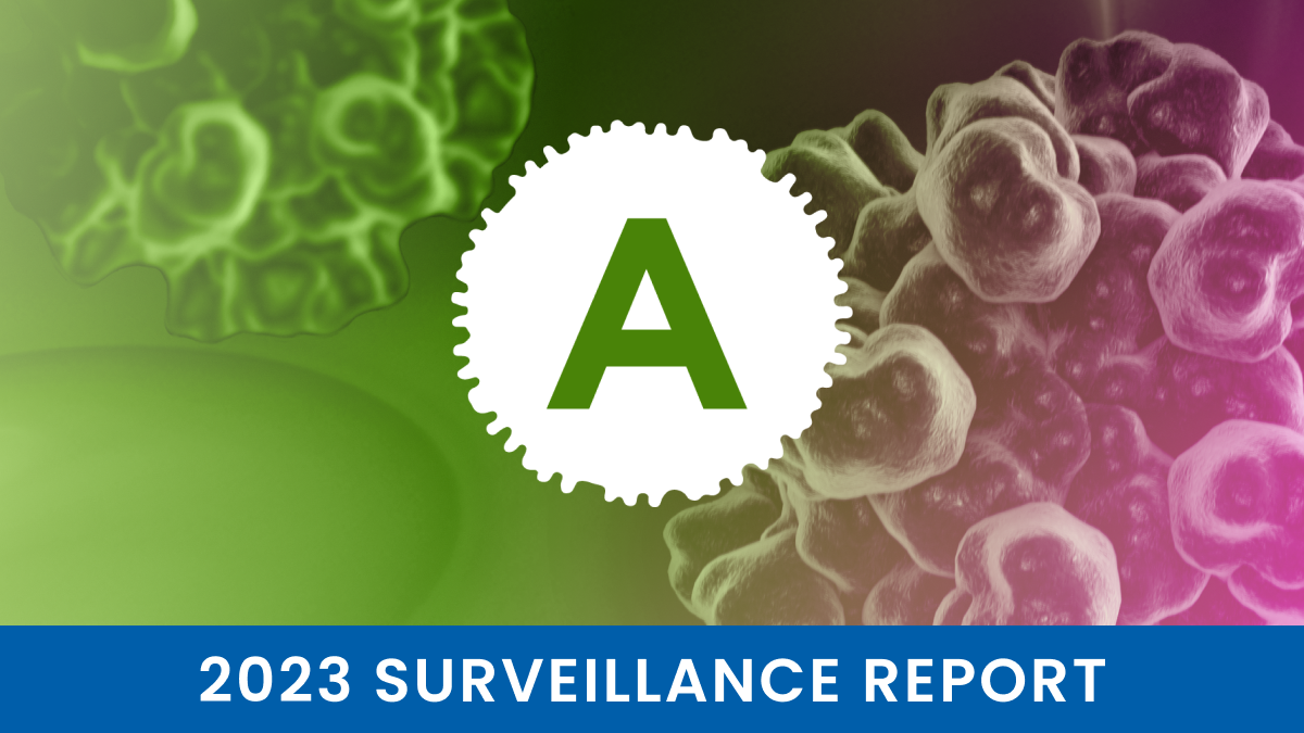 CDC 2023 Hepatitis A Surveillance Report