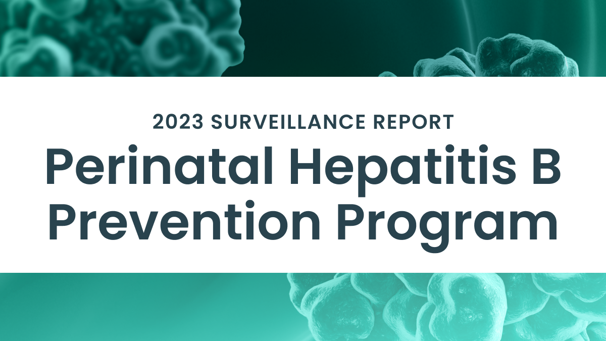 CDC 2023 Hepatitis B Surveillance Report perinatal hepatitis b prevention program