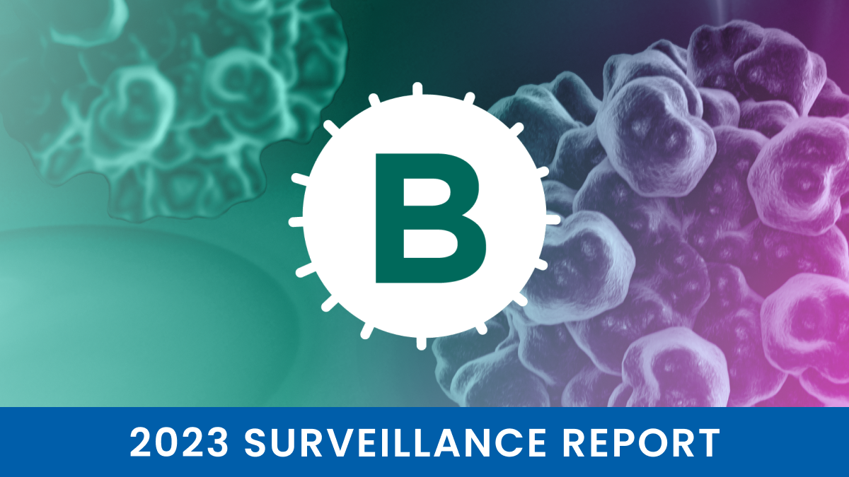 CDC 2023 Hepatitis B Surveillance Report