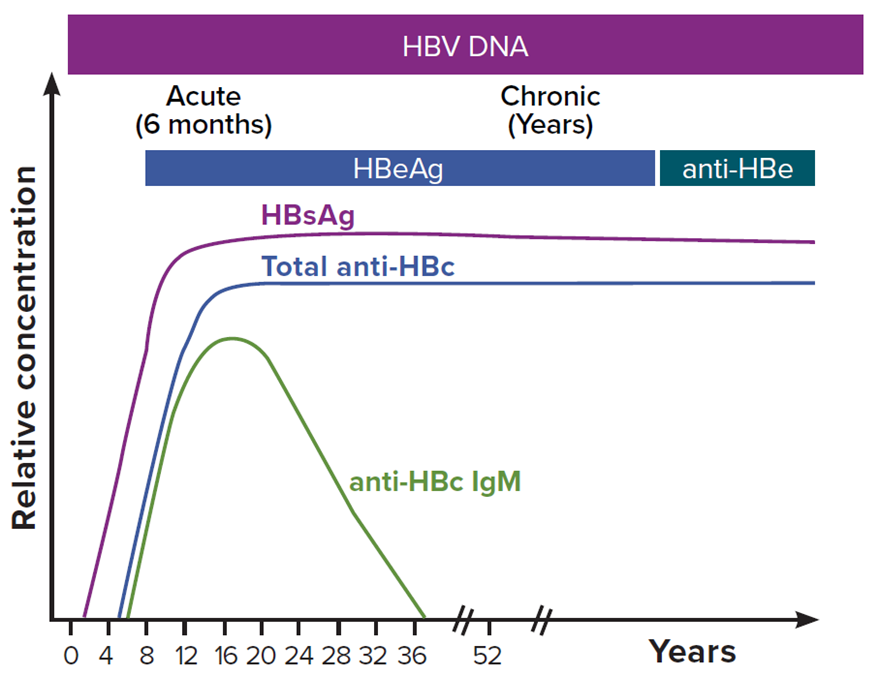 Figure 3-2. Typical serologic course of the progression to chronic hepatitis B