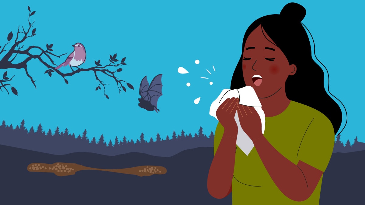 An illustration of a woman coughing next to bird and bat droppings.