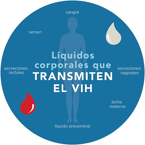 Líquidos corporales que transmiten el VIH | Transmisión del VIH |  Información básica | VIH/SIDA | CDC