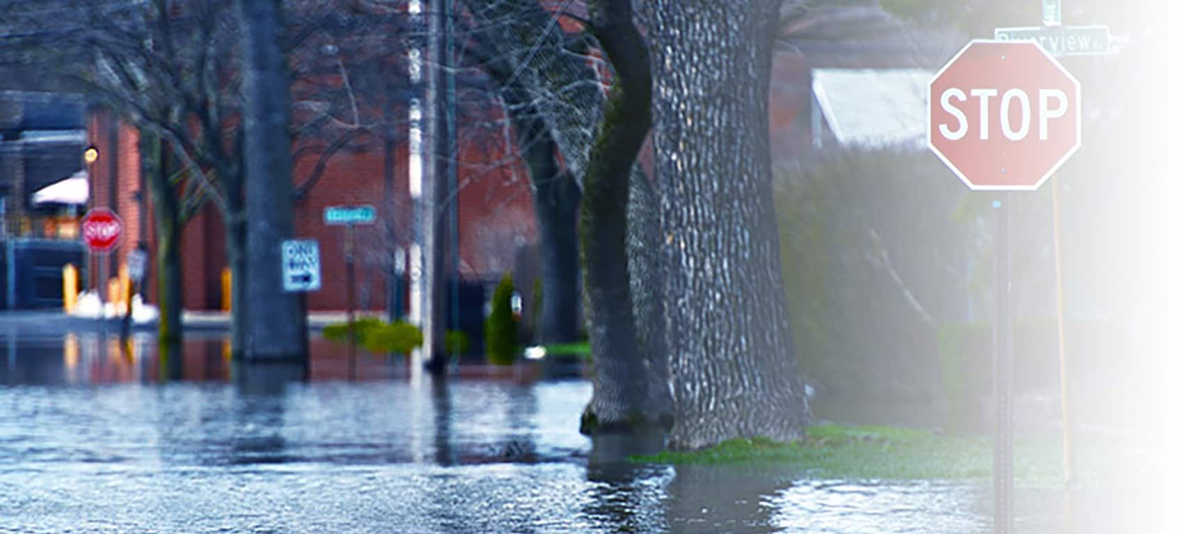 Returning Home After a Flood