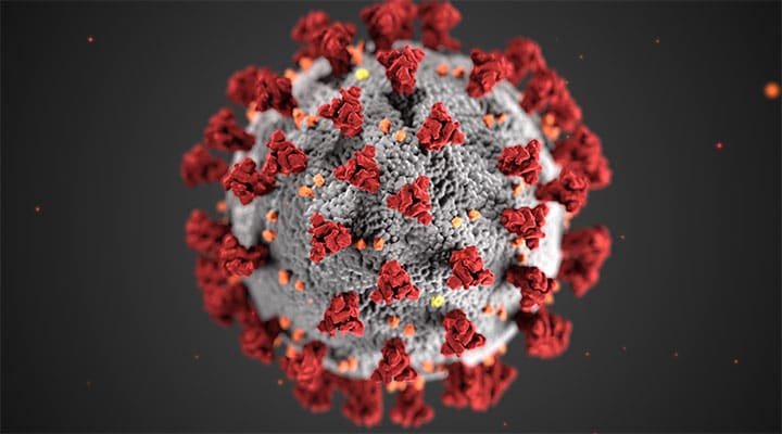 Imagen microscópica del coronavirus