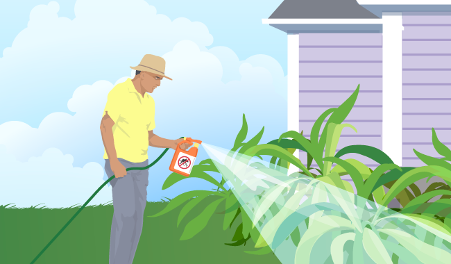 Man spraying insect repellent
