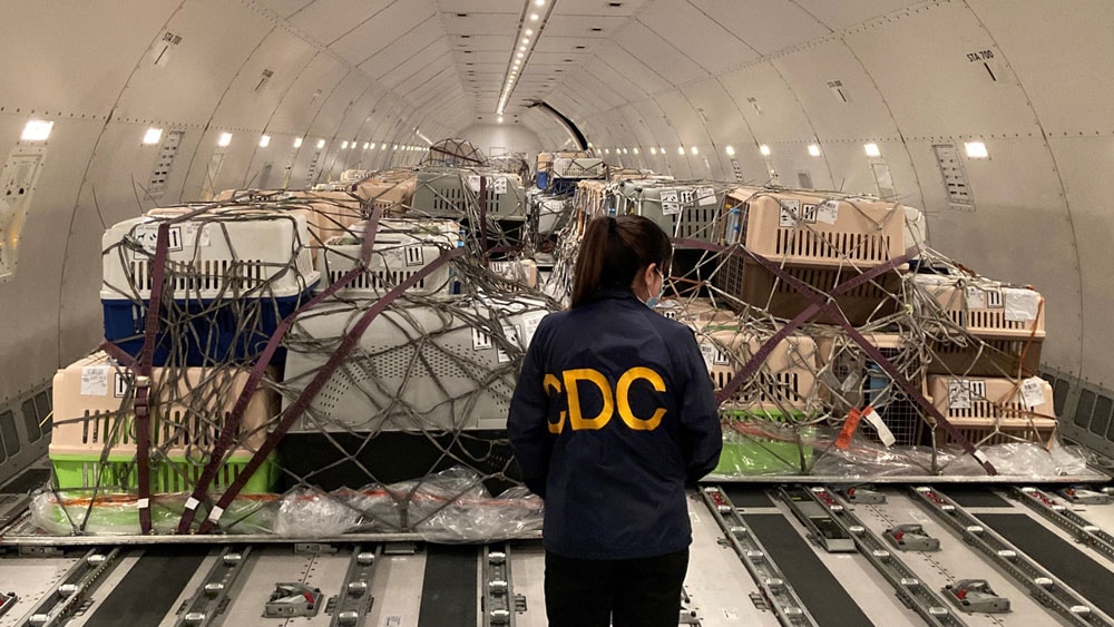Person wearing a jacket that says "CDC" looks at dog crates being imported into the US.