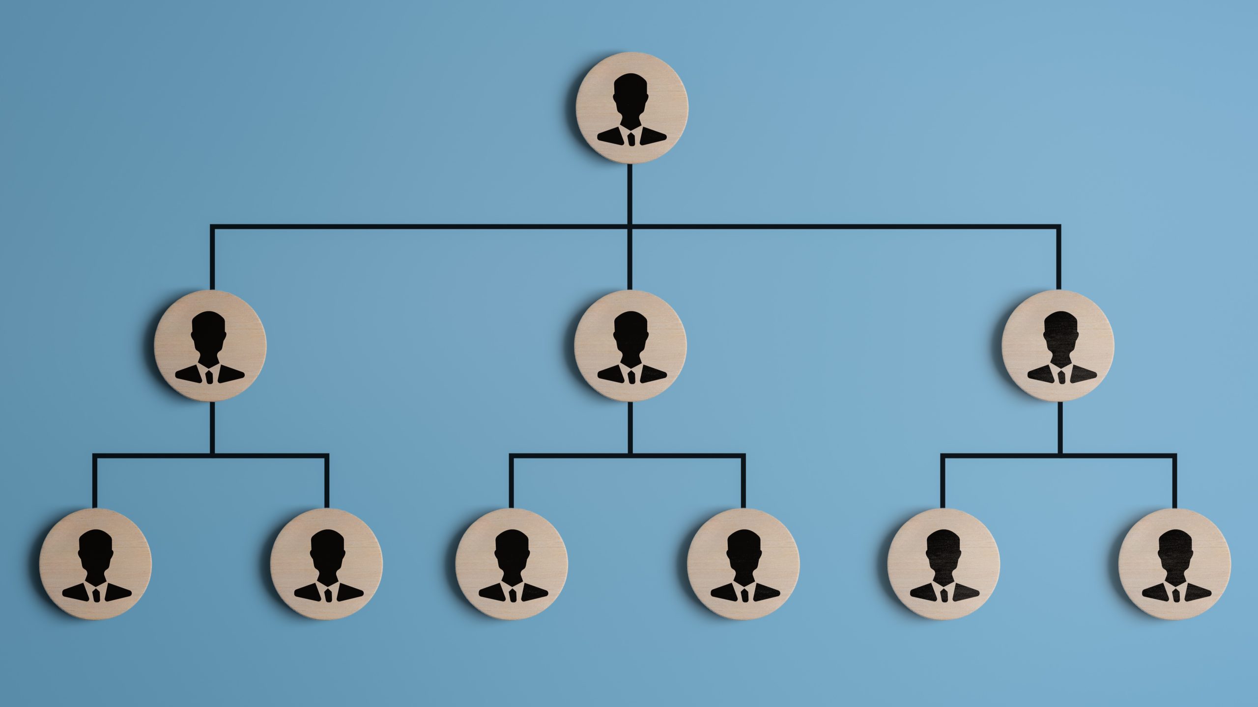 Decorative Image of a Leadership Organization Chart
