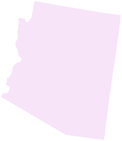 State of Arizona