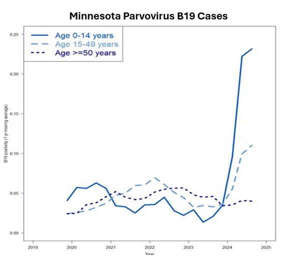 MADMC models Parvovirus B19 cases in Minnesota from 2022-25, using ML to help identify a spike in infections.