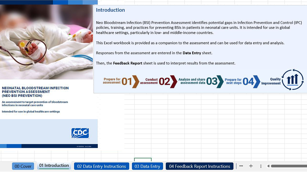 neo bsi prevention data entry form thumbnail