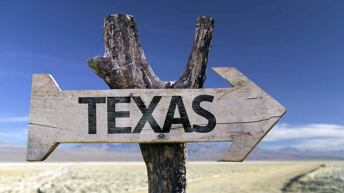 Texas state sign in the shape of an arrow