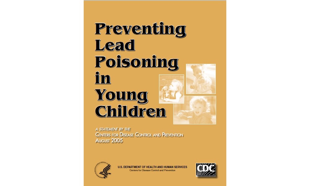 Cover image of the Preventing Lead Poisoning in Young Children Aug. 2005